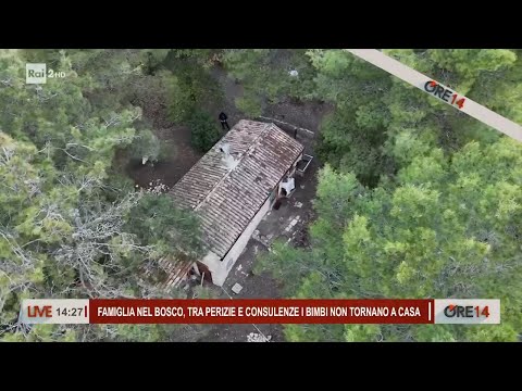 Famiglia nel bosco le ultime novità - Ore 14 del 26/02/2025