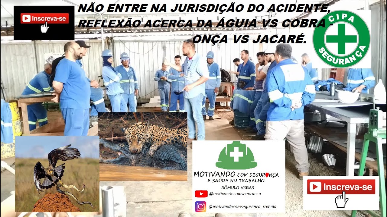 DDS/Palestra: Nunca entre na jurisdição do acidente, reflexão sobre Onça vs Jacaré (Rômulo Veras)