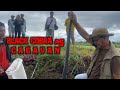 BLACK COBRA NG SOLANA CAGAYAN