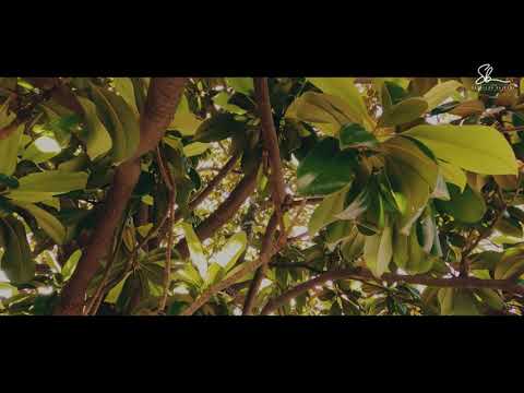 Vlera e bashkimit të dy zemrave - Hoxhë Sadullah Bajrami