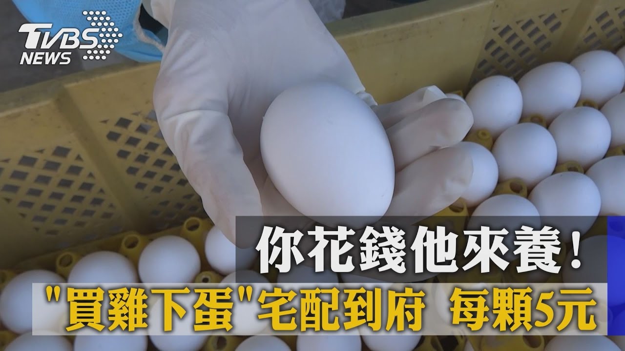 你花錢他來養！「買雞下蛋」宅配到府　每顆5元