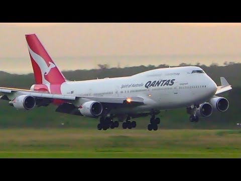 SENSATIONAL Early Morning Heavy Aircraft CLOSE UP Arrivals | Brisbane Airport Plane Spotting