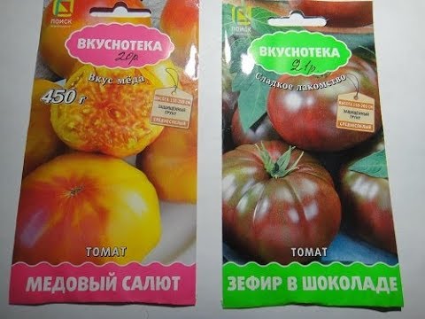 Леруа мерлен семена томатов. Семена томат медовый салют. Леруа семена. Леруа Мерлен семена томатов каталог.
