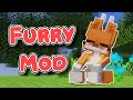 I Created A FOX GIRL Mod