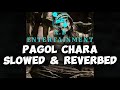 PAGOL CHARA DUNIYA CHOLE NAA | Slowed And Reverb | Bengali LALON #lalonsong | #slowed #reverb