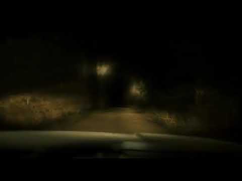 Wonder jungle by lex one