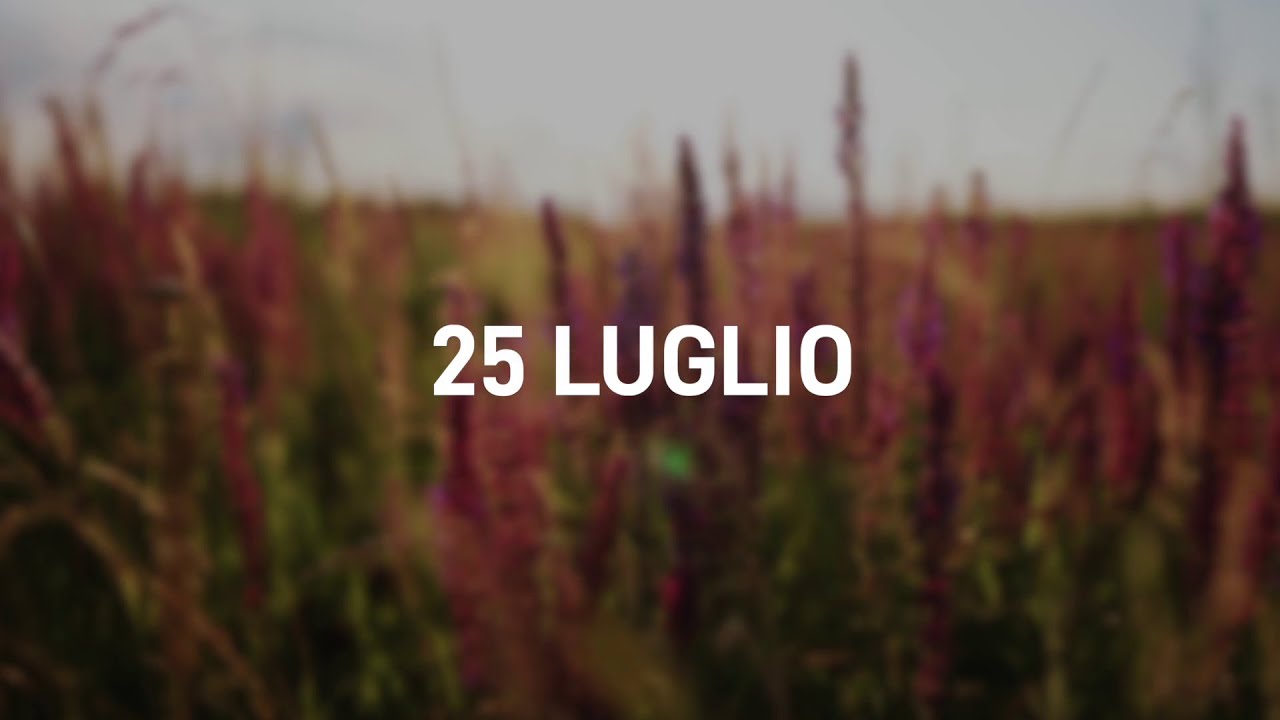 25 Luglio 2025 | Meditazione Parole di Vita
