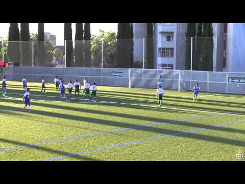 CERDANYOLA FC - CF BADALONA (1-0). Crónica del partit. Copa Catalunya