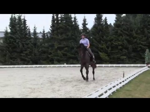 N.N. von Numero Uno - Perigueux