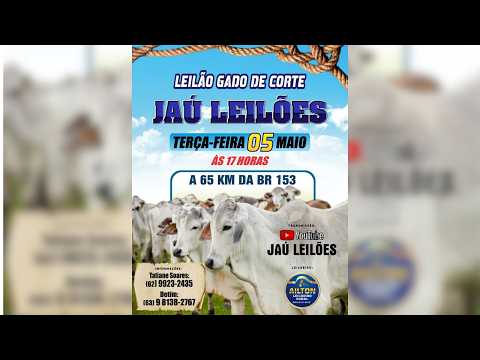 LEILÃO GADO DE CORTE  - JAU LEILÕES  - JAU DO TOCANTINS  -05 / 05 / 2026
