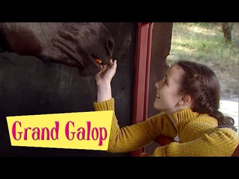Grand Galop 221 - Un pensionnaire remuant (Partie 3) | HD | Épisode Complet