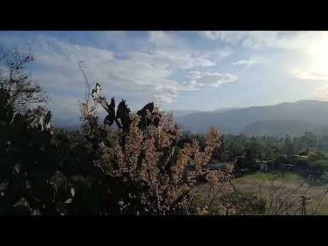 San Pedro de Colalao,  Provincia de Tucuman 