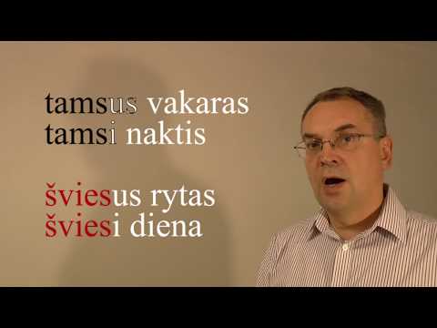 LITHUANIAN LESSON 92 - ŠEŠĖLIS - Shadow