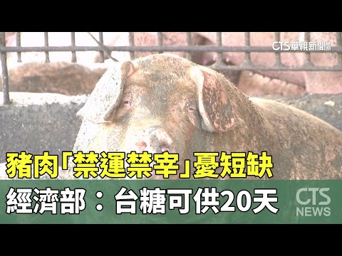 豬肉「禁運禁宰」憂短缺　經濟部：台糖可供20天