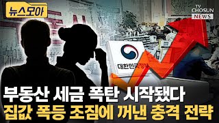 종부세 납부자 폭증... 집값 폭등 조짐에 민주당은 보유세 강화 주장 [티조Clip]