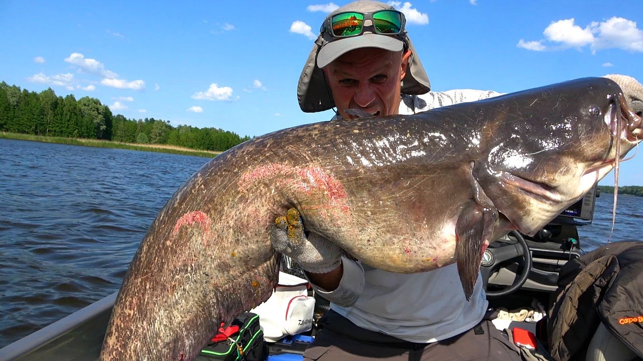 Зацеп ожил и началось! В этом месте собрался весь СОМ с реки!