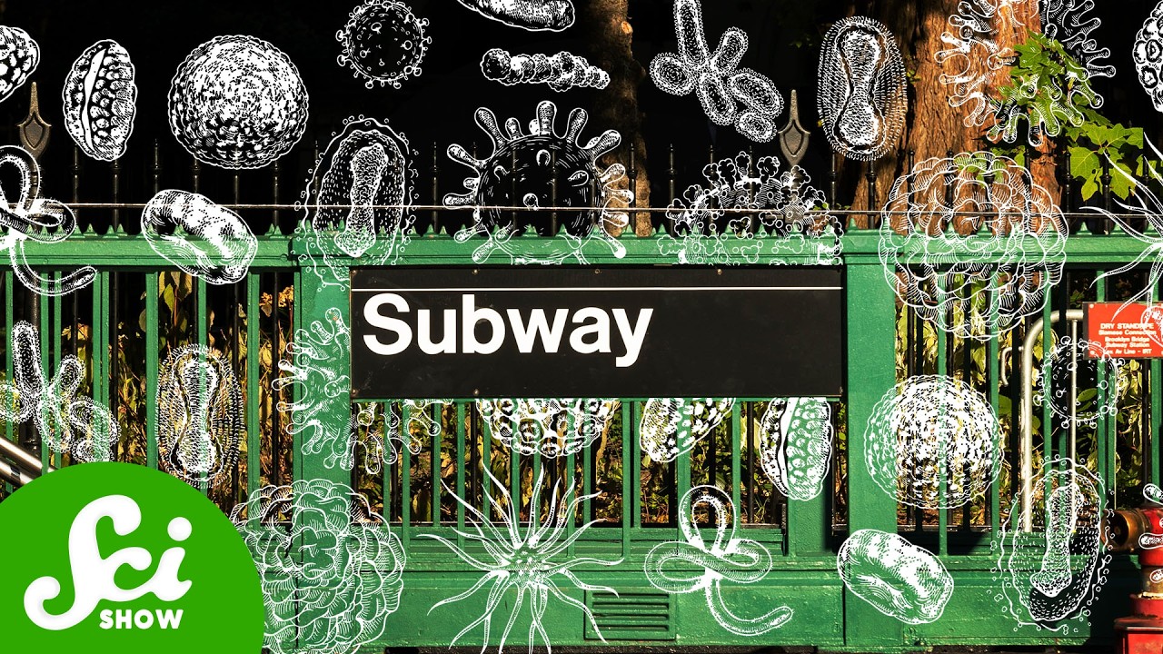 Should You Lick A Subway Pole?