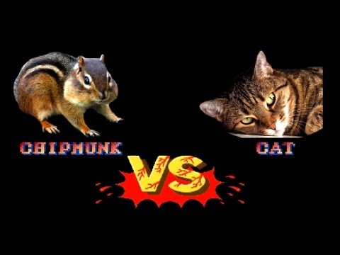 Street Fighter 2: Chipmunk vs. Cat