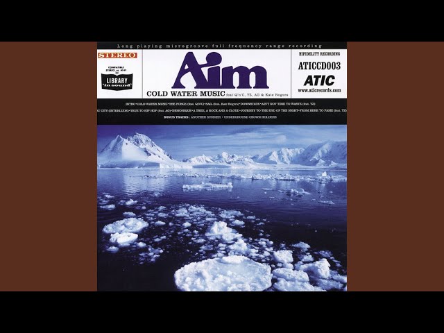 Descubriendo al artista musical Aim: su historia, estilo y conciertos memorables 
