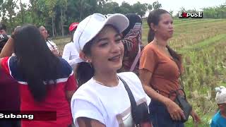 Download lagu Turu Ning Pawon/Singa Dangdut PMJ/Putra Mangun Jaya/Edition, Padamulya, 09-14-2025 mp3