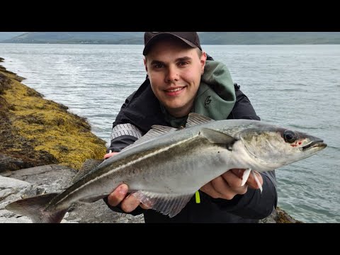 Eumer Fishing - Kalastusta Norjassa - Seikkailut vuonoissa ja Jäämerellä