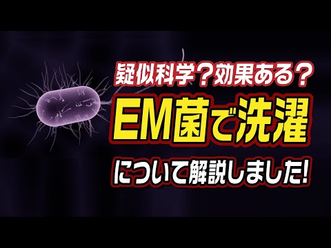 疑似について詳しく解説