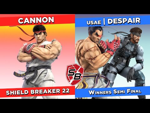 Shield Breaker 22 - Cannon (Ryu) Vs. USAE | Despair (Kazuya, Snake)