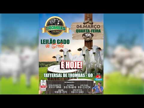 LEILÃO DE GADO DE CORTE TROMBAS LEILÕES - TROMBAS GOIAS  - 04 / 03 / 2026