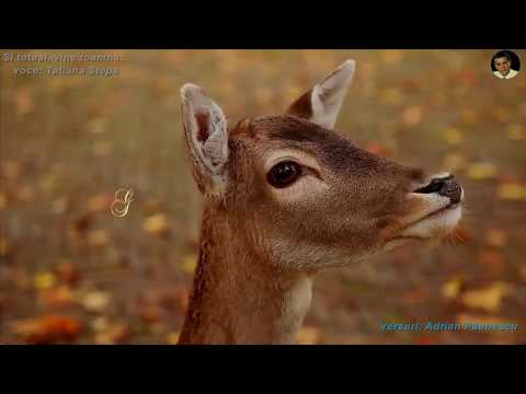 Și vai, suntem bătrâni