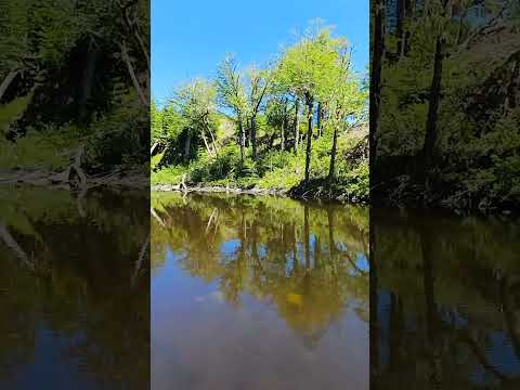 Guardamos recuerdo se cada ESTACIÓN porque pasa MUY RÁPIDO #verano 24 25 CURRUMAHUIDA #short #asmr