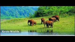 preview picture of video 'Kerala Tourist Attractions, kerala sightseeing, Places to Visit in Kerala'