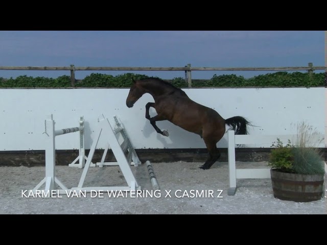 JUMPING