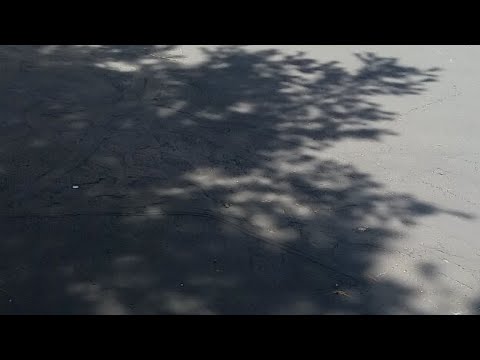 Cool Disco Dan D.C. Legendary Artist R.I.P