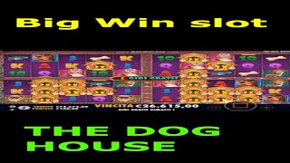 BIG WIN SLOT DOG HOUSE MULTIHOLD #SHORTS