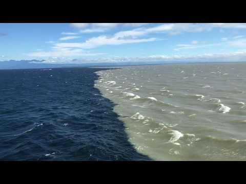 Fresh water meets salt water