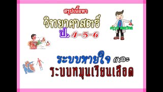 สรุปเนื้อหา  วิทยาศาสตร์ ป.4-5-6  ||  ...เรื่อง  ระบบหายใจ และ ระบบหมุนเวียนเลือด