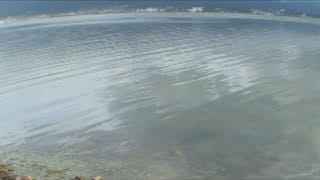 琵琶湖バス釣りライブR8-8/27