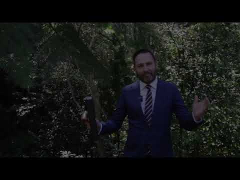 Auction - 32 Wellington Drive, Balgownie