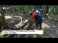 Голова ТЛУ Юрій Марчук про ситуацію з дровами