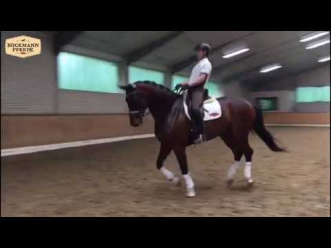 5 j. Wallach v. Quattro x De Niro