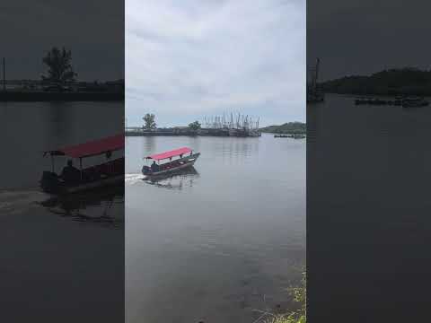 Bahía de Jiquilisco en Puerto El Triunfo usulutan #shorts
