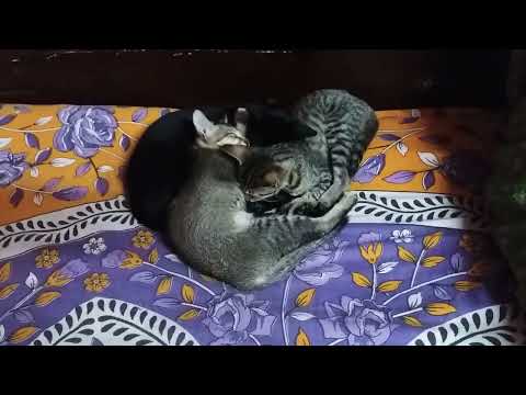 What  a  scene @dolanaretumidolanandyou5519