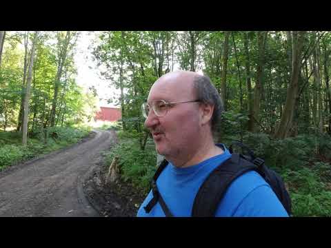 MongoTV_3540 - English Vlog_0204 - Sunday Walk In Frederiksdal Forest