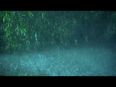 Beat Tinnitus with Heavy Rain on Lake, Calm Thunder in Deep Forest - Real Rain Sounds for Sleeping