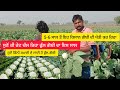 ਫੁੱਲ ਗੋਬੀ ਦੀ ਖੇਤੀ। Cauliflower Farming। Gobhi ki kheti। Cauliflower A2Z Farming। @sa