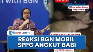 Kata Wakil Kepala BGN soal Heboh Mobil SPPG Angkut Babi di Nias Selatan: Minta Korwil Lapor Polisi