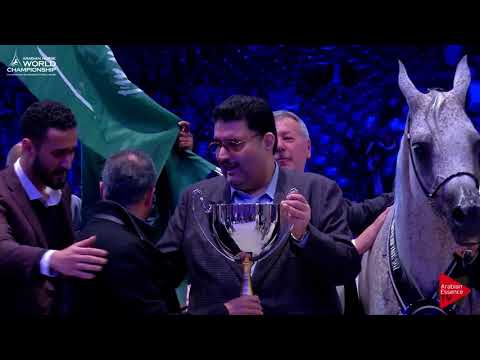 2 nd Place N.62 SHIRIN BY AISHA - Paris 2017 - Senior Mares Championship (Class CM9)