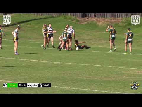 2019 Group 7 LLT Division 1 Round 4 Highlights - Stingrays of Shellharbour Vs Berry-Shoalhaven Heads