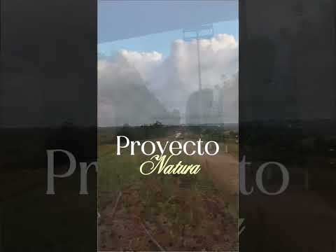 Ventas de lotes en la zona de Poas Alajuela con vista
