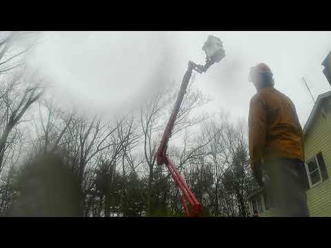 Snow&Rain Oh My! #snow #rain #treeworker #chainsaw